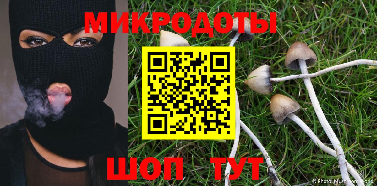 Галлюциногенные грибы прущие грибы  Вход с VPN  Обнинск 